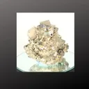 specimen video