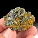 Pyrite from Potosí Mine, Chihuahua, Mexico - image 1