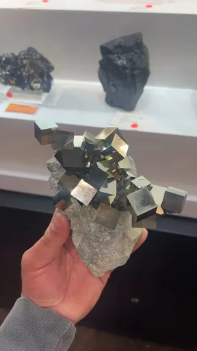 specimen video