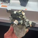 specimen video