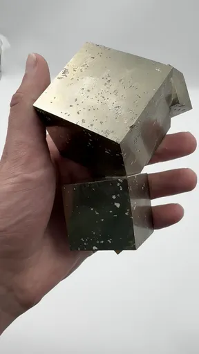 specimen video