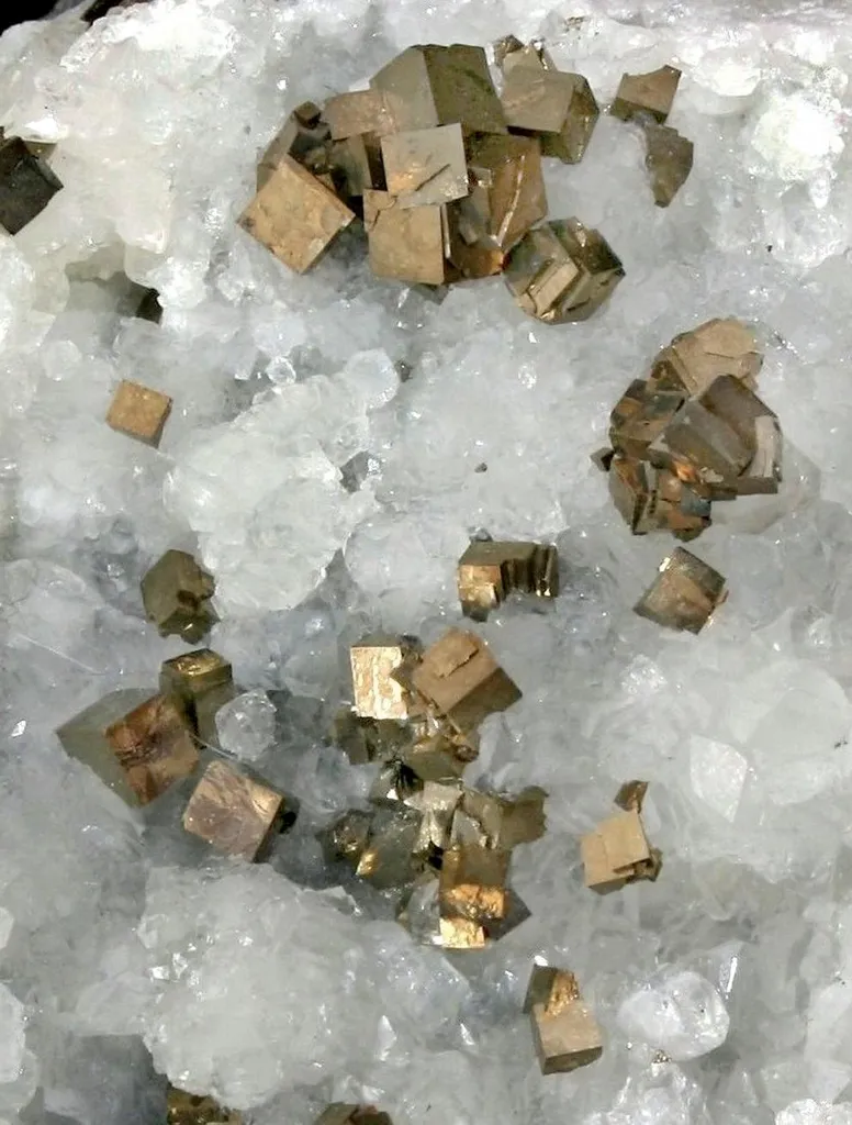 Pyrite from USA, New Jersey, Haledon, Braen Quarry image