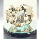 specimen video