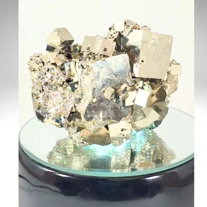 specimen video