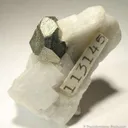 Pyrite In Calcite - image 2