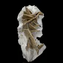 Pyrite on Calcite - image 1