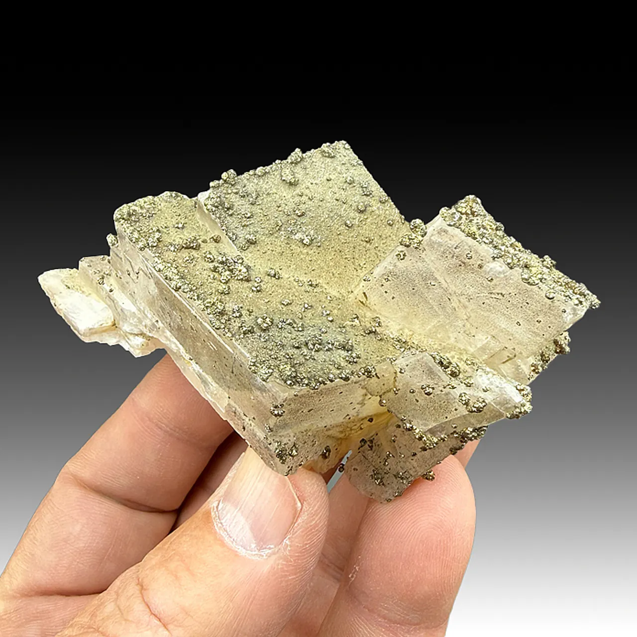 Pyrite on Calcite - image 1