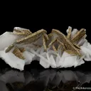Pyrite on Calcite - image 2