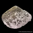 Pyrite on Calcite - image 4