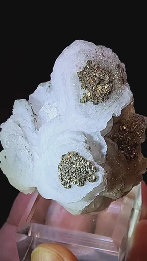 specimen video