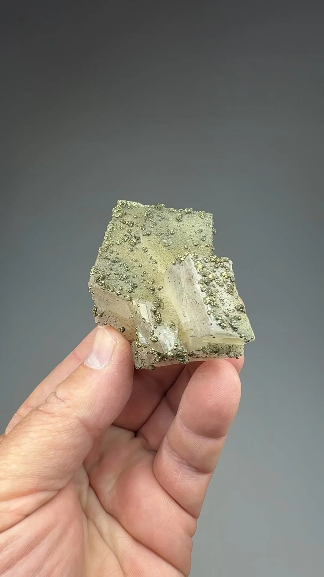 Pyrite on Calcite - image 2