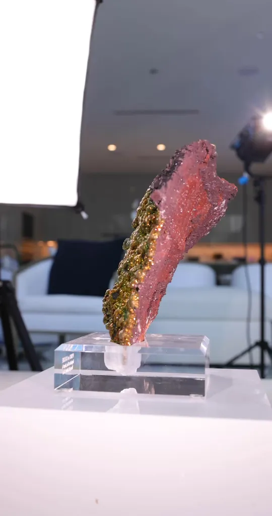 specimen video