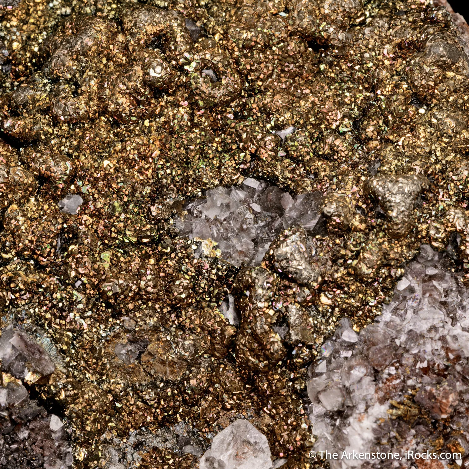 Pyrite on Calcite - image 4