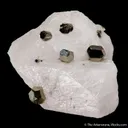 Pyrite on Calcite (twinned) - image 3