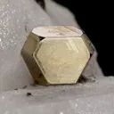 Pyrite on Calcite (twinned) - image 2