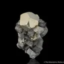 Pyrite on Dolomite - image 5