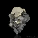 Pyrite on Dolomite - image 1