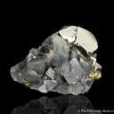 Pyrite on Dolomite - image 4