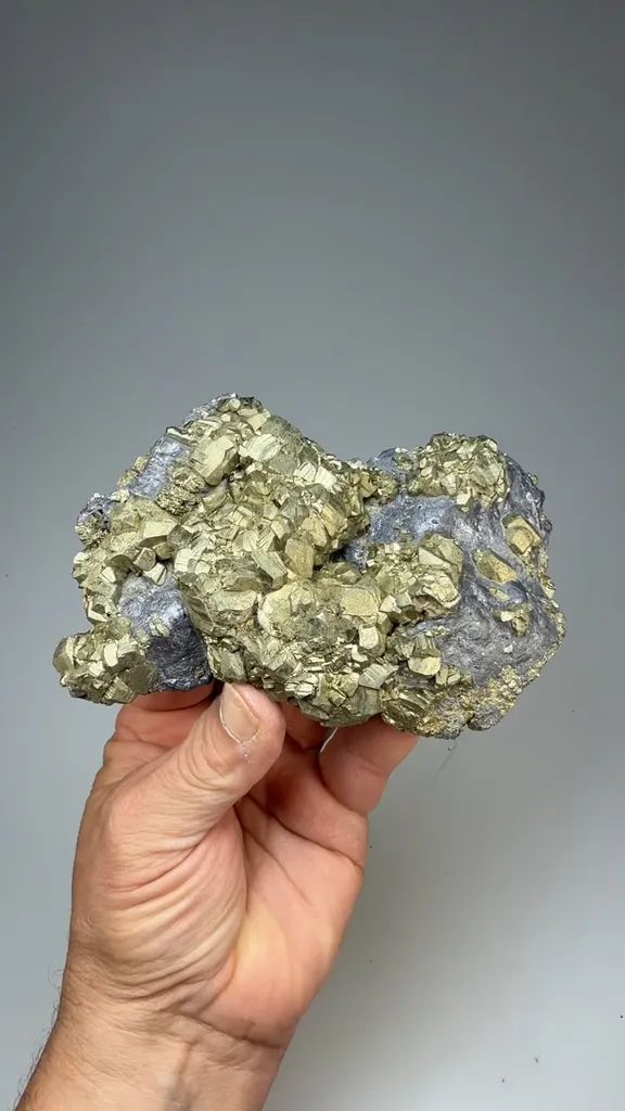 Pyrite on Galena image