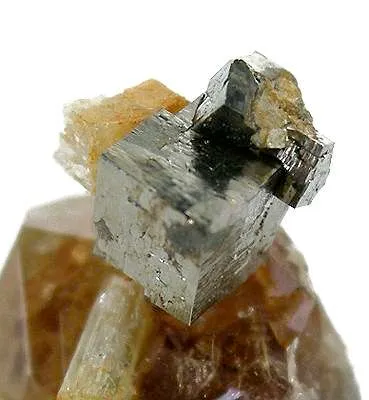Pyrite on Grossular Garnet on Diopside - image 2