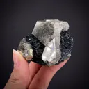 Pyrite on Hematite (classic find) - image 1