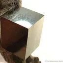 Pyrite on Matrix - image 3