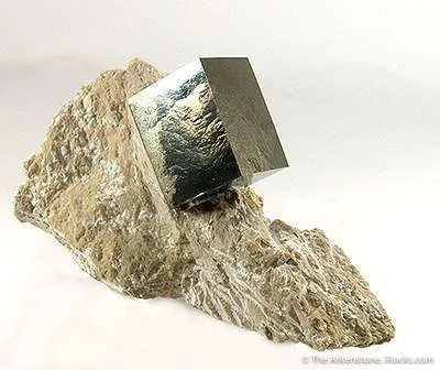 Pyrite on Matrix image
