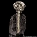 Pyrite on Pyrite ps. Baculites yokayamai - image 5