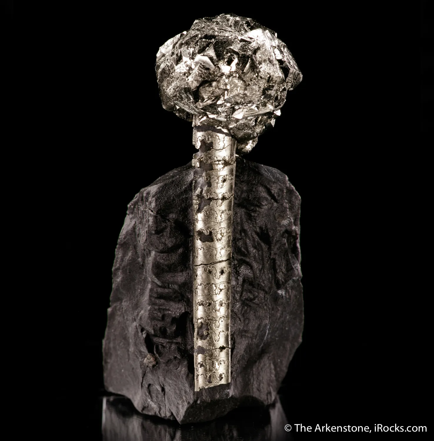 Pyrite on Pyrite ps. Baculites yokayamai - image 5