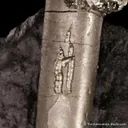 Pyrite on Pyrite ps. Baculites yokayamai - image 5