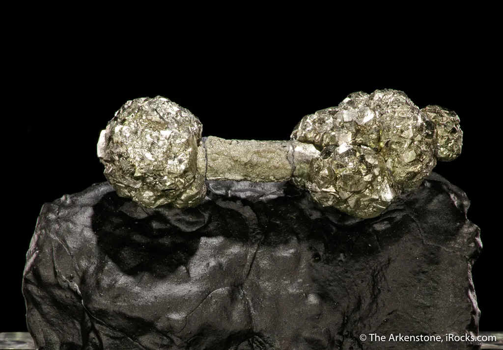 Pyrite on Pyrite ps. Baculites yokayamai - image 4