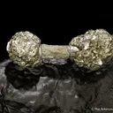 Pyrite on Pyrite ps. Baculites yokayamai - image 4