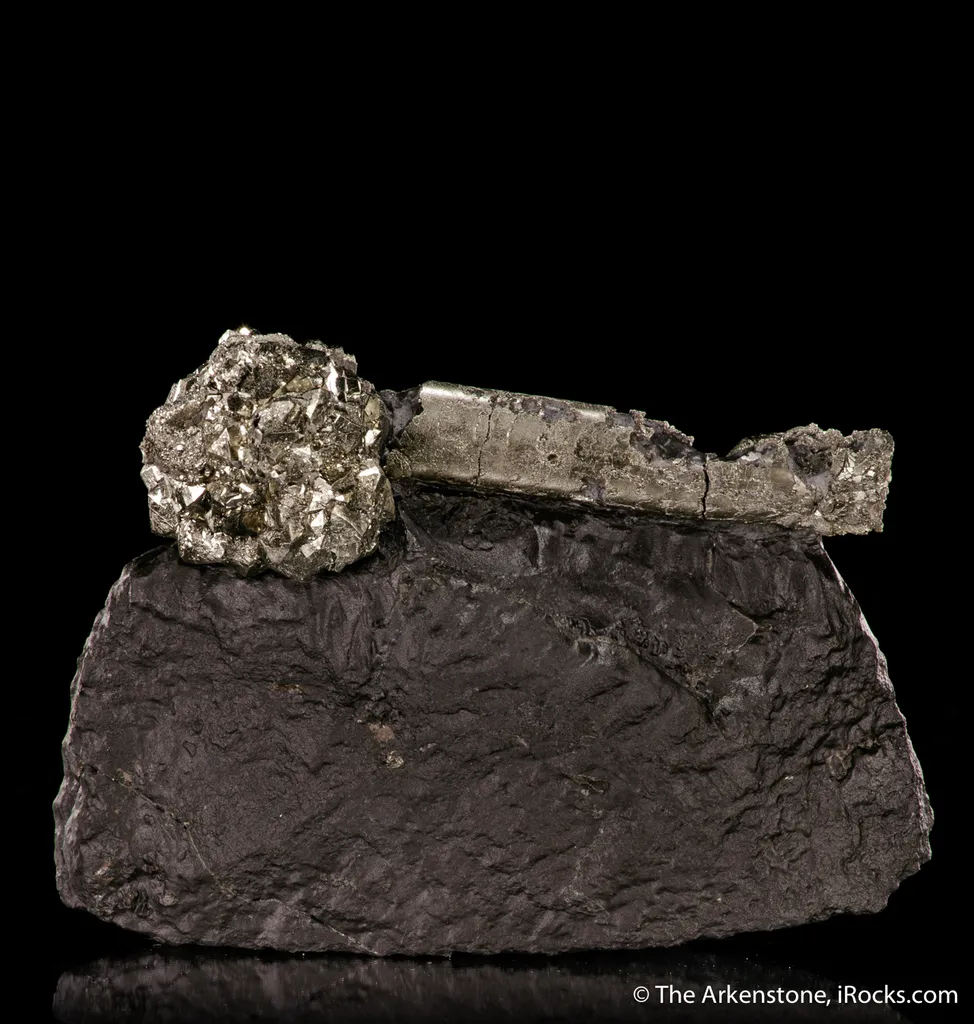 Pyrite on Pyrite ps. Baculites yokayamai - image 4