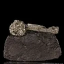 Pyrite on Pyrite ps. Baculites yokayamai - image 4