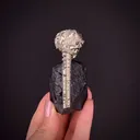 Pyrite on Pyrite ps. Baculites yokayamai - image 1