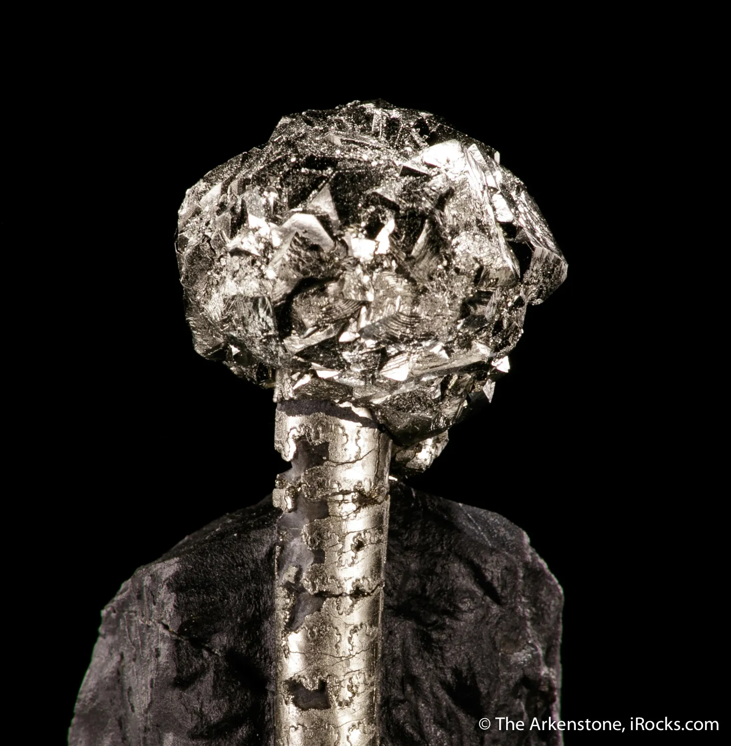 Pyrite on Pyrite ps. Baculites yokayamai - image 4