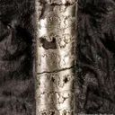 Pyrite on Pyrite ps. Baculites yokayamai - image 6