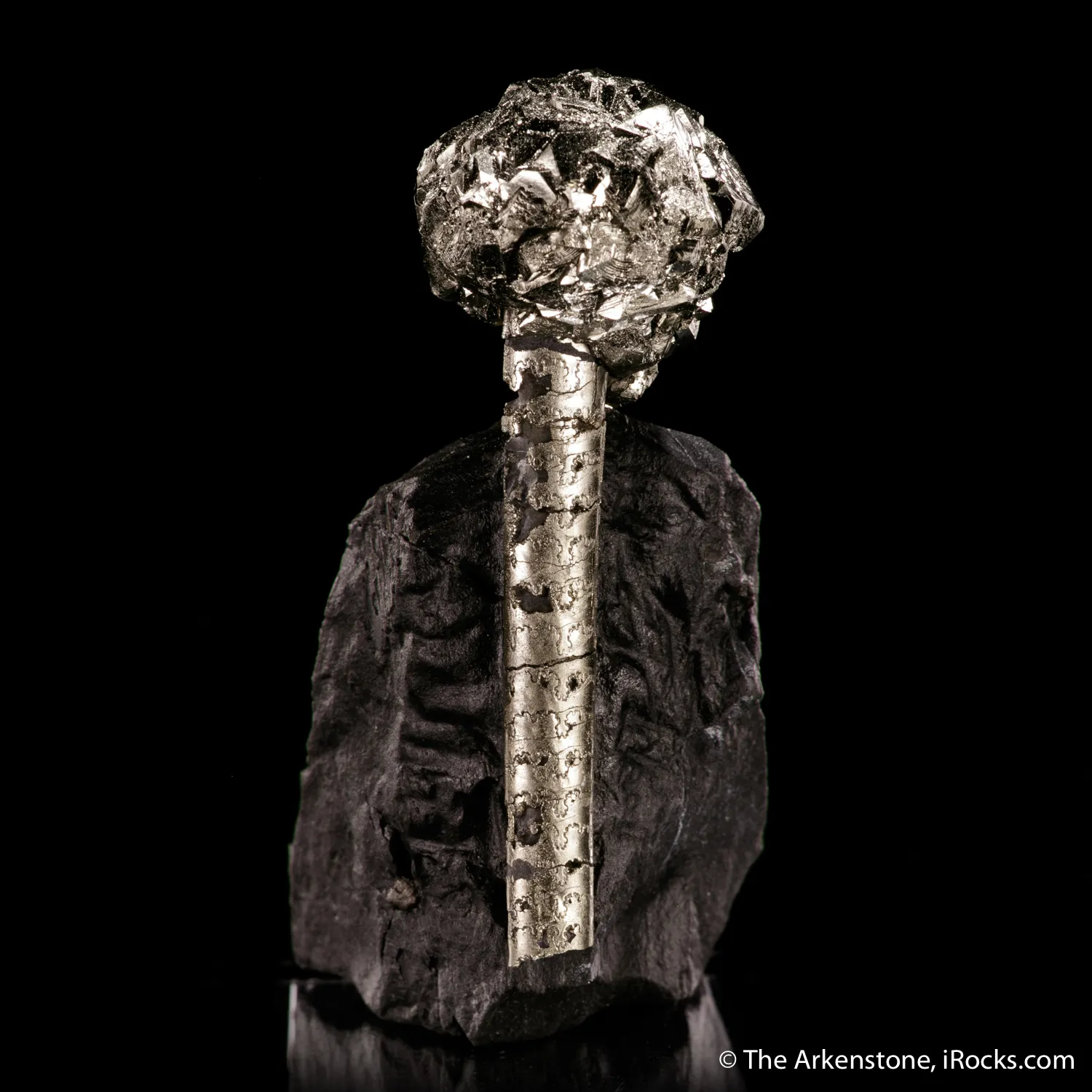 Pyrite on Pyrite ps. Baculites yokayamai - image 3