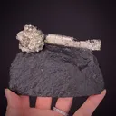 Pyrite on Pyrite ps. Baculites yokayamai - image 1