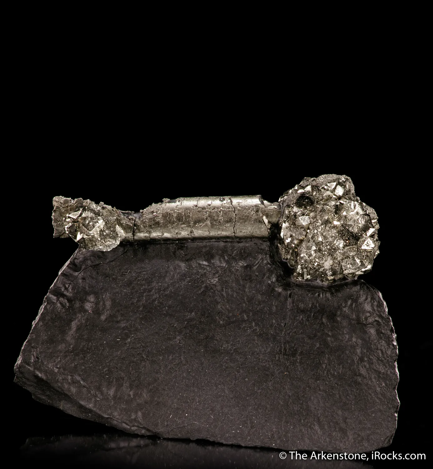 Pyrite on Pyrite ps. Baculites yokayamai - image 3