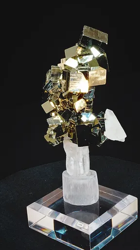 specimen video