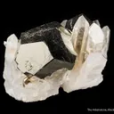 Pyrite on Quartz - image 4