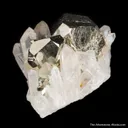 Pyrite on Quartz - image 7
