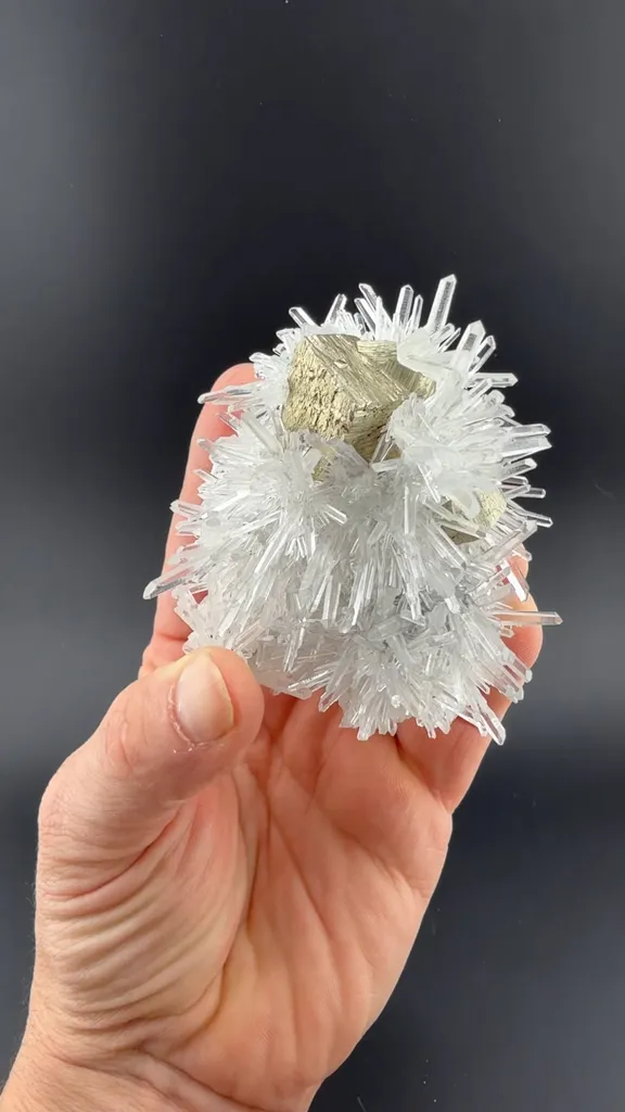 Pyrite on Quartz image