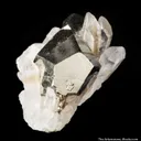 Pyrite on Quartz - image 5