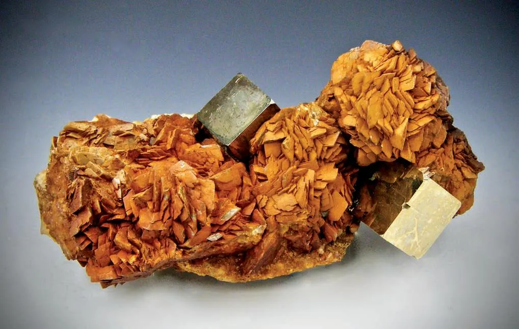 Pyrite on Siderite image