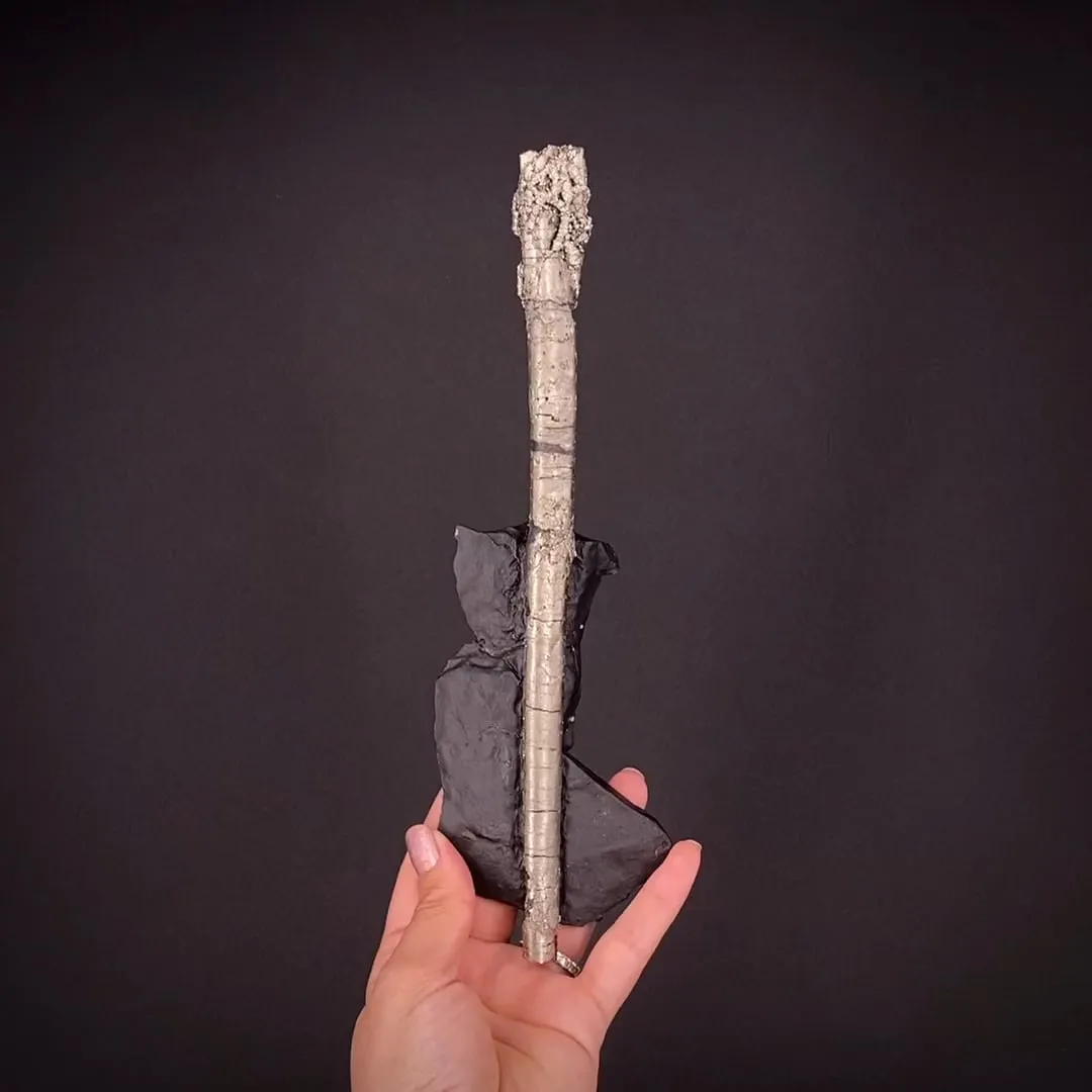 Pyrite ps. Baculites yokayamai - image 2