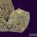 Pyrite ps. Marcasite - image 3
