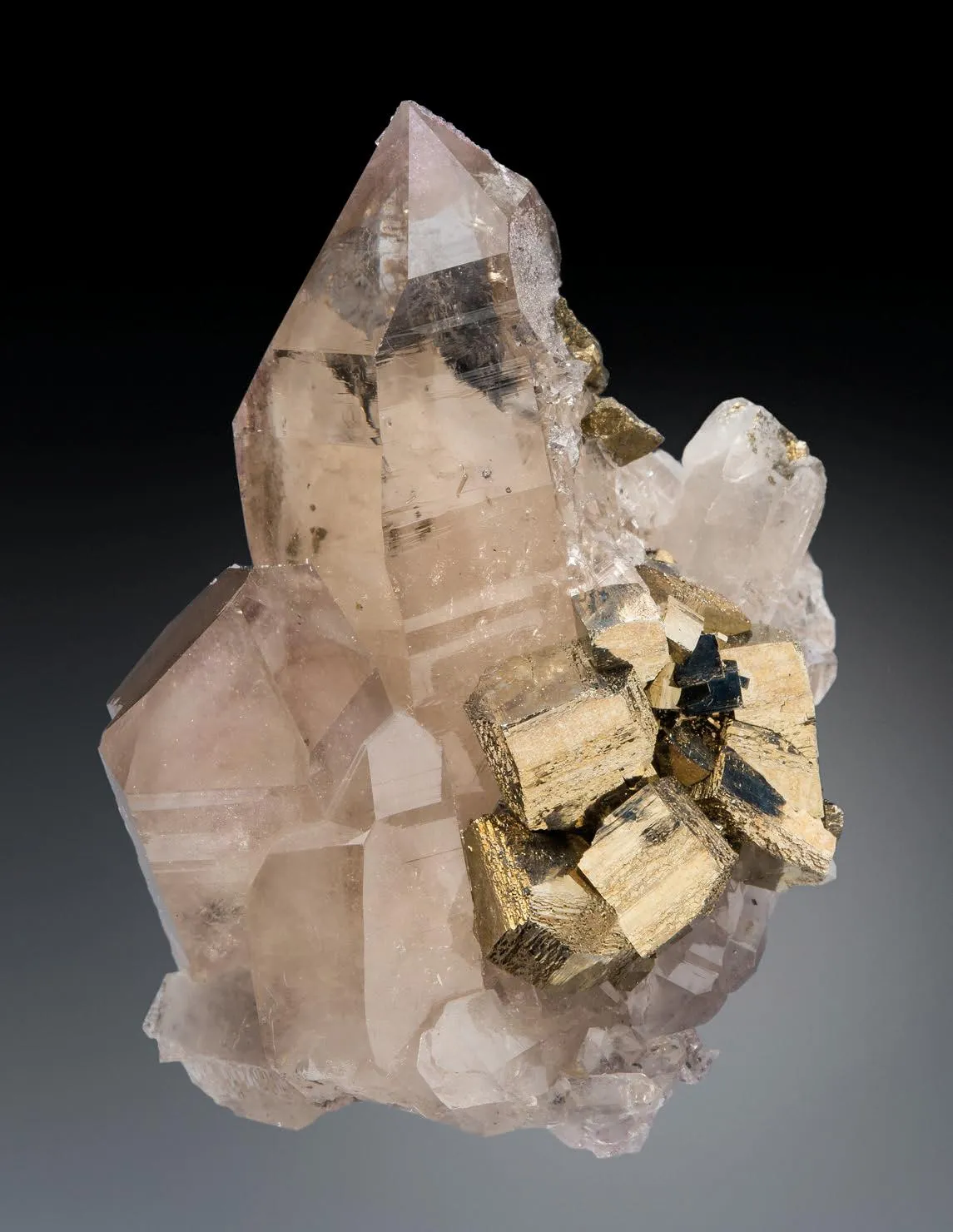 Pyrite, Quartz - image 1