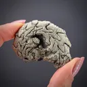 Pyrite replacing Ammonite fossil - image 2